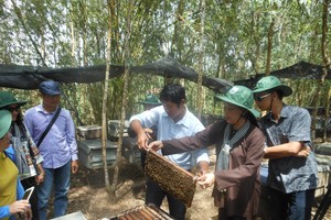 Du khách trải nghiệm nuôi ong lấy mật tại hộ du lịch cộng đồng huyện Tam nông, Đồng Tháp.