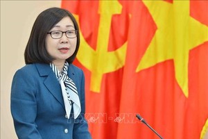 Bà Đoàn Thị Tuyết Nhung, Phó Tổng Giám đốc TTXVN làm ủy viên Hội đồng phối hợp phổ biến, giáo dục pháp luật TW. (Ảnh: Minh Đức/TTXVN)