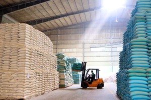 Gạo đang có cơ hội xuất khẩu lớn khi thị trường mở rộng và giá tăng. Ảnh: Dũng Minh.