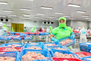 Cá tra phi lê là sản phẩm xuất khẩu chủ lực của tỉnh An Giang.