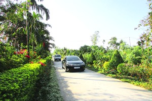 Hạ tầng giao thông long Mỹ ngày một hoàn thiện.