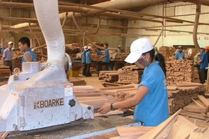 Giá trị xuất khẩu gỗ và sản phẩm gỗ của Việt Nam những tháng đầu năm 2023 giảm mạnh