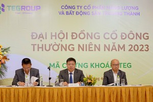ĐHĐCĐ TEGroup (TEG): Lên kế hoạch lãi 111,47 tỷ đồng năm 2023, điều chỉnh kế hoạch tăng vốn