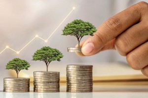 Vốn FII từ góc nhìn nhà đầu tư ngoại