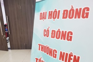 Cổ đông nhỏ là thành phần quan trọng trong giám sát và đảm bảo quản trị hiệu quả cho công ty.