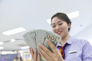 Tỷ giá được dự báo sẽ hạ nhiệt trong phần còn lại của năm.