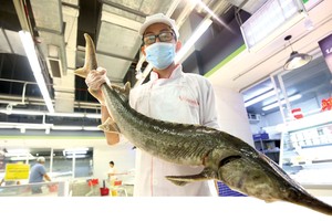 Trong lĩnh vực bán lẻ, tiêu dùng cũng có những con “cá lớn” đang được ngắm nghía.