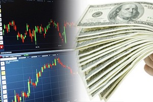 Ảnh minh họa. (Nguồn: Pulse)