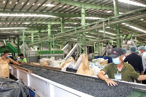 Chính sách về trách nhiệm tái chế để giảm gánh nặng ngân sách chi cho xử lý chất thải rắn sinh hoạt.