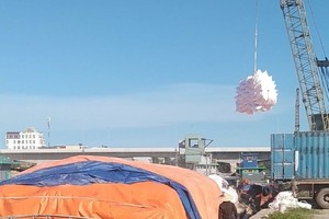 Nhiều doanh nghiệp xuất khẩu tinh bột sắn đang đợi được hoàn thuế giá trị gia tăng.