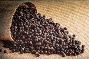 Thủ tướng yêu cầu 6 Bộ, ngành gỡ khó cho doanh nghiệp trong vụ việc nguy cơ mất lô hàng xuất khẩu sang UAE.