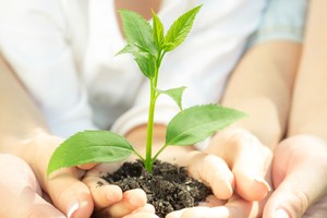 Chứng chỉ quỹ và những bước tiến nhỏ trên con đường dài