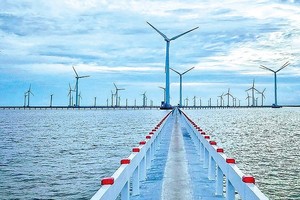 Bạc Liêu hiện thực hóa mục tiêu trở thành trung tâm sản xuất năng lượng sạch
