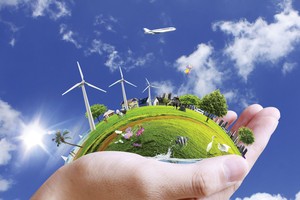 CSR - Vững gốc để vươn cành 