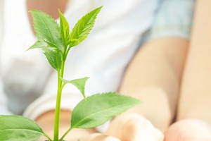 Công bố thông tin phát thải carbon, trách nhiệm và cơ hội của doanh nghiệp