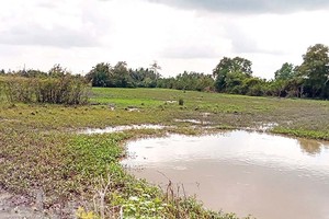 Vị trí khu đất NSH Petro được UBND tỉnh Sóc Trăng cho thuê để thực hiện dự án tại Cụm công nghiệp Ngã Năm.