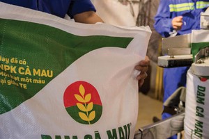 Nhu cầu phân bón trong nước và xuất khẩu được dự báo gia tăng.