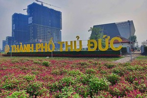 Các tổ chức hành chính trực thuộc TP. Thủ Đức gồm 15 cơ quan chuyên môn và 1 tổ chức hành chính khác là Trung tâm Hành chính công. Ảnh: Lê Toàn.