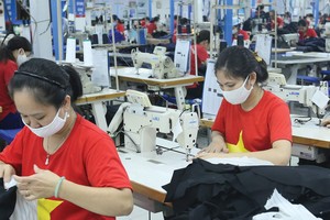 Kinh tế Việt Nam và một số thị trường xuất khẩu lớn đang dần phục hồi, mang lại triển vọng sáng cho nhiều lĩnh vực.