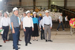 Tổng giám đốc Vinachem thăm và làm việc tại CTCP Phân bón Bình Điền.