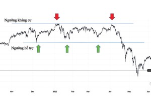 Nhiều dấu hiệu của thị trường “răng cưa”