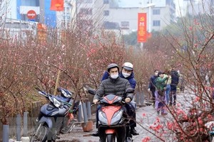 Bộ Lao động-Thương binh và Xã hội đã hoàn thành việc lấy ý kiến về lịch nghỉ Tết Nguyên đán năm 2024 với công chức, viên chức. (Ảnh: TTXVN)