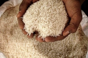 Ấn Độ ký thỏa thuận xuất khẩu gạo với châu Âu và Trung Đông