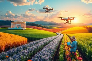 Người nông dân châu Phi đang tìm đến thị trường stablecoin