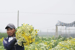 Những đồng vốn từ Agribank đang khiến đất cằn nở hoa…