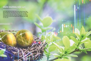 Hình ảnh và nội dung minh họa được chọn từ Báo cáo thường niên BVSC, doanh nghiệp có chất lượng báo cáo thường niên trong TOP 10 liên tục từ 2014-2016