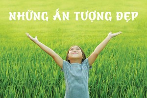 Những ấn tượng đẹp mùa báo cáo thường niên 2016