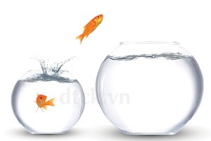 Phong thủy nhà ở với sức khỏe con người