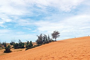 Đón nắng ở Mũi Né