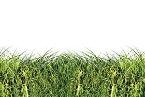 “Xanh” phải từ nhận thức đến hành động