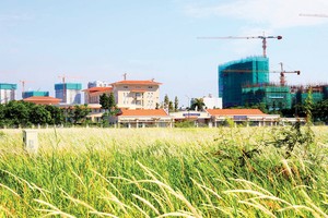 Dòng vốn đang đổ về bất động sản vùng ven