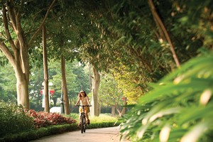 Xu hướng chuyển nhà ra vùng ngoại ô