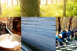 Qúy IV/2015, VHG ước lãi sau thuế 20 tỷ đồng, tăng hơn 68%