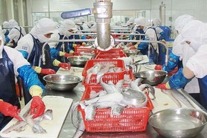 Quý I, NGC lãi sau thuế hơn... 530 triệu đồng, tăng 47,7% cùng kỳ