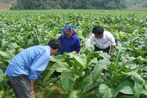 Vinataba muốn thoái toàn bộ hơn 13% vốn tại VTJ