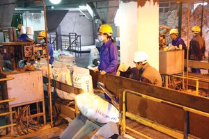 6 tháng, DDV báo lỗ hơn 200 tỷ đồng