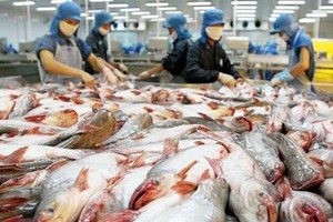 Ngày 23/12, Seaprodex chào sàn UPCoM