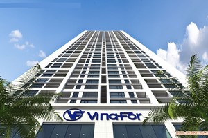 Vinafor (VIF): 6 tháng, công ty mẹ lãi ròng 352 tỷ đồng, vượt 46,7% kế hoạch cả năm