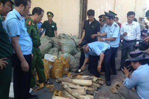 Buôn lậu động vật hoang dã luôn là vấn đề nhức nhối thời gian qua