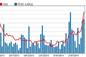 Diễn biến giao dịch cổ phiếu HAG 3 tháng qua (Nguồn: HOSE)
