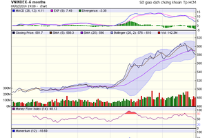 Biểu đồ kỹ thuật VN-Index. Nguồn: HOSE