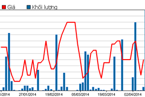 ASIAGF: Tiền gửi ngân hàng chiếm hơn 98% NAV quỹ