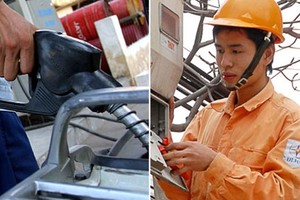 EVN và Petrolimex phải công khai tài chính