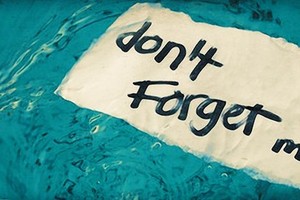 FLC, SHI và câu chuyện làm nóng cổ phiếu