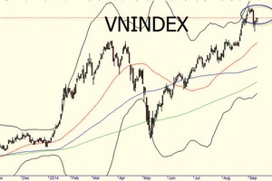 Bám theo “tay to”