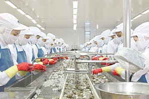 Thông tin trả cổ tức được đưa ra từ hồi tháng 7 khiến giá cổ phiếu MPC tăng ngoạn
mục từ mức dưới 40.000 đồng/CP lên 80.000 đồng/CP hiện nay.
